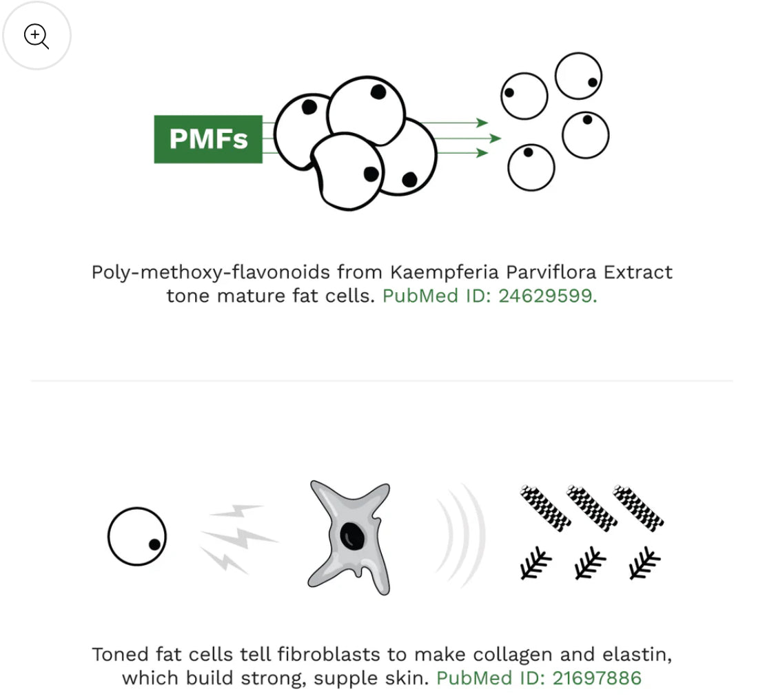 Adipeau Strong Body Gel